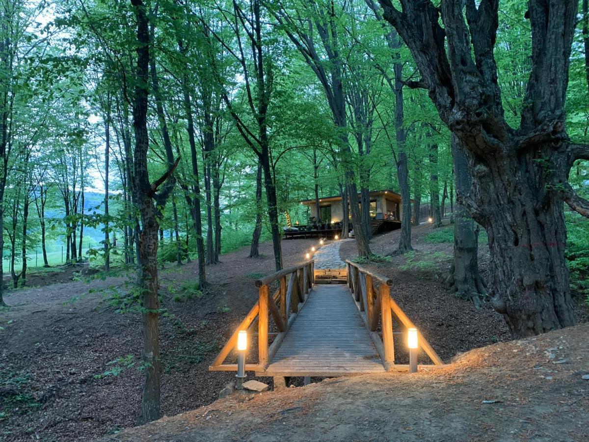 Luxury Lake House & Glamping Villa Teşila Dış mekan fotoğraf