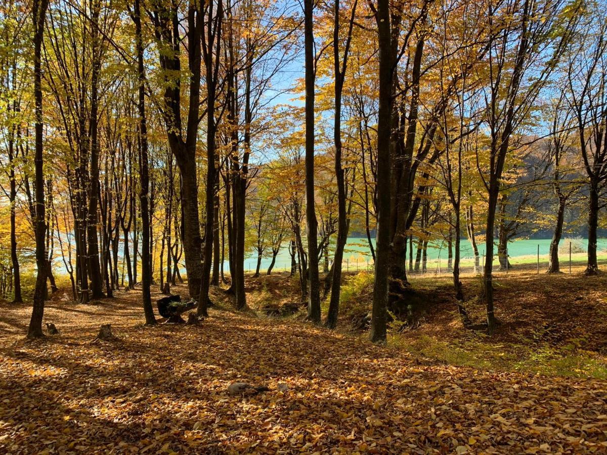 Luxury Lake House & Glamping Villa Teşila Dış mekan fotoğraf