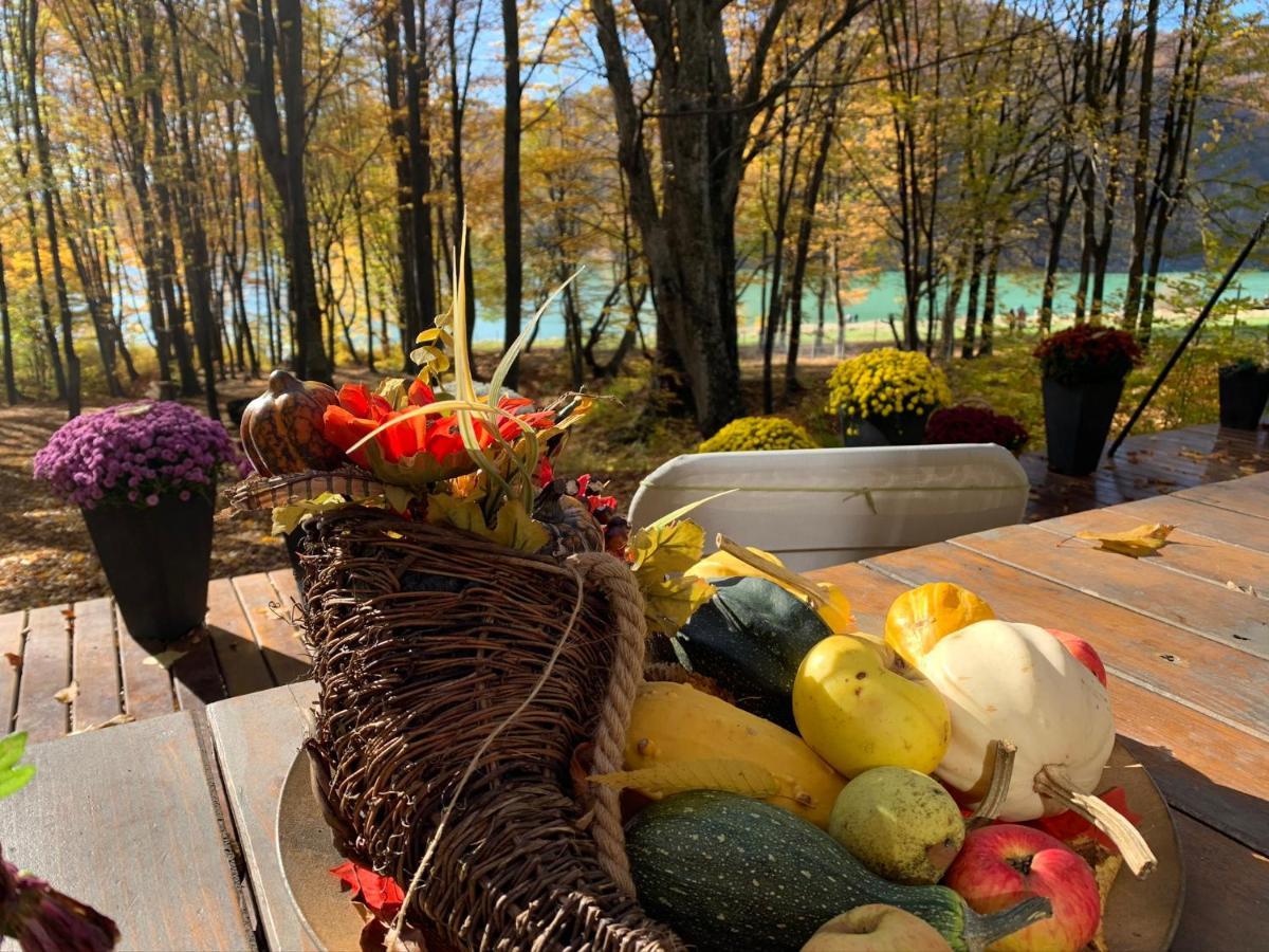 Luxury Lake House & Glamping Villa Teşila Dış mekan fotoğraf