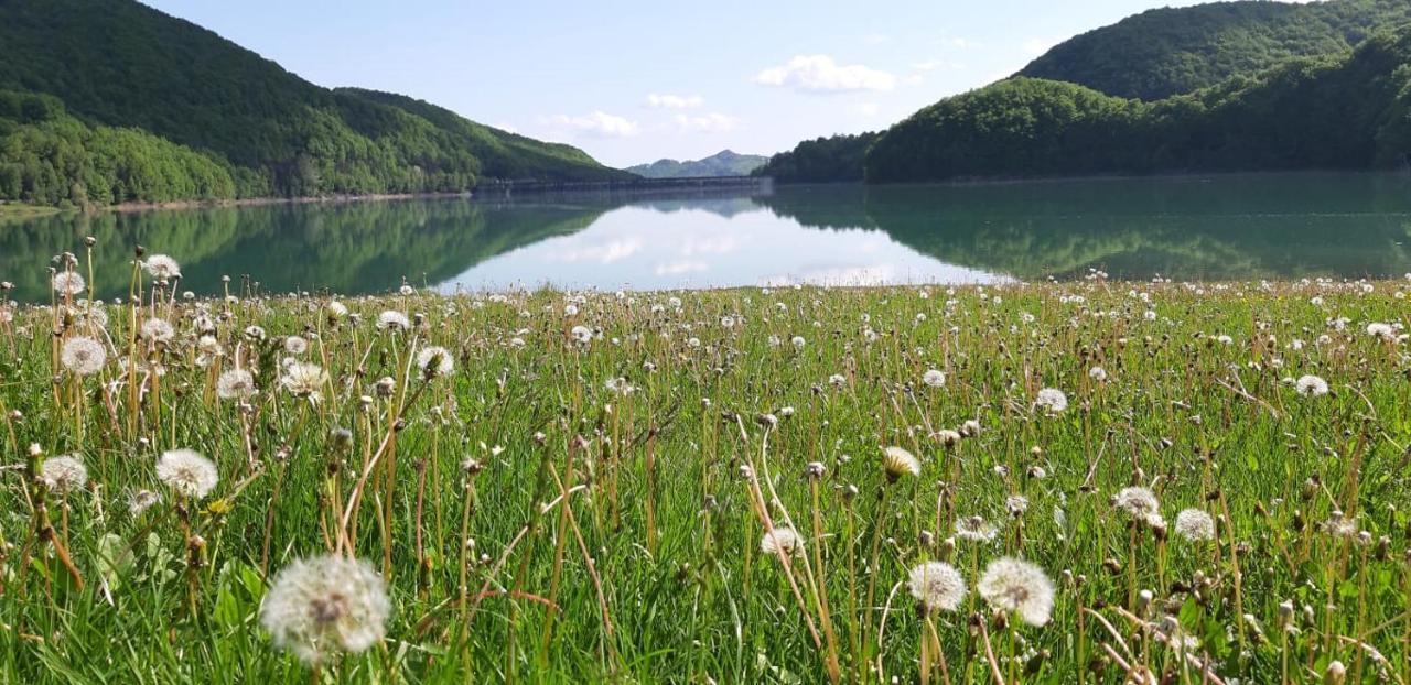 Luxury Lake House & Glamping Villa Teşila Dış mekan fotoğraf