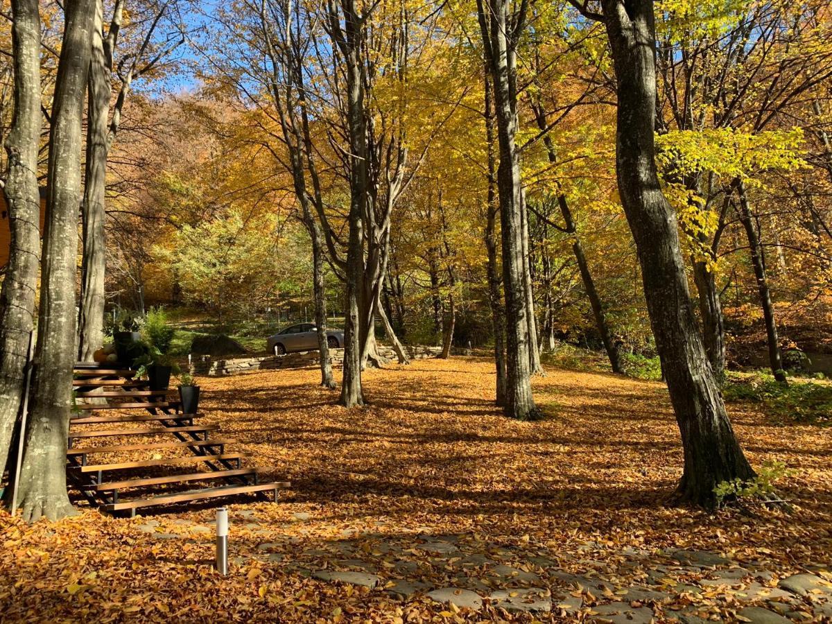 Luxury Lake House & Glamping Villa Teşila Dış mekan fotoğraf